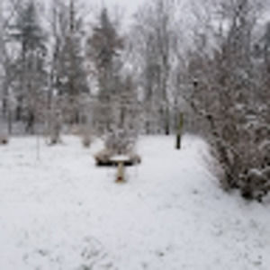 Meet your Posher, Maira